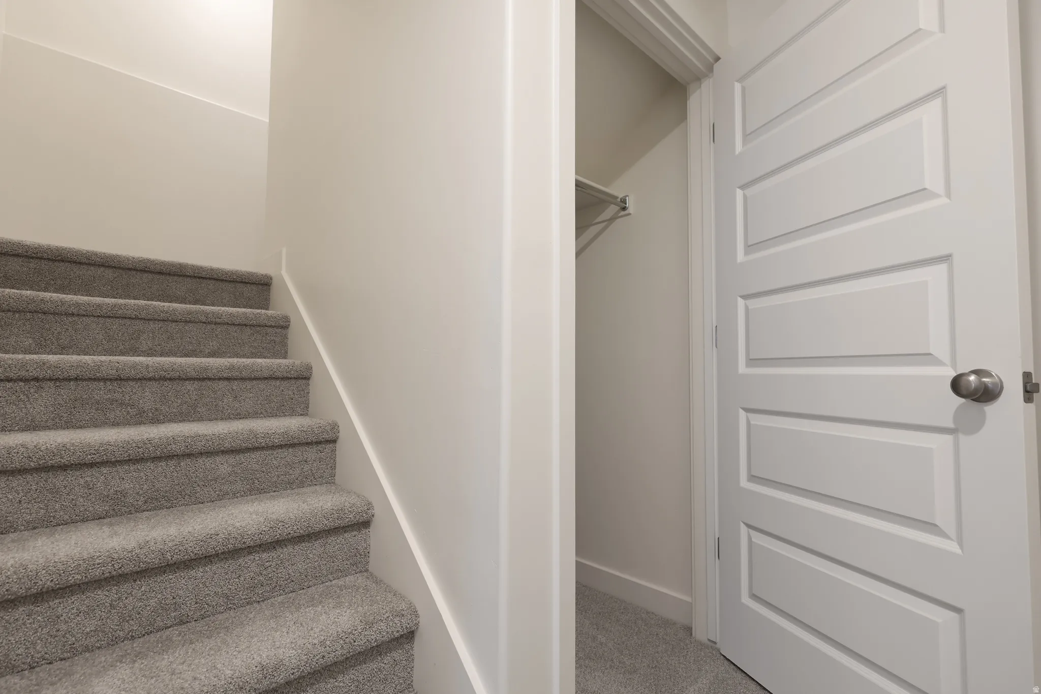 Stairway with baseboards and carpet