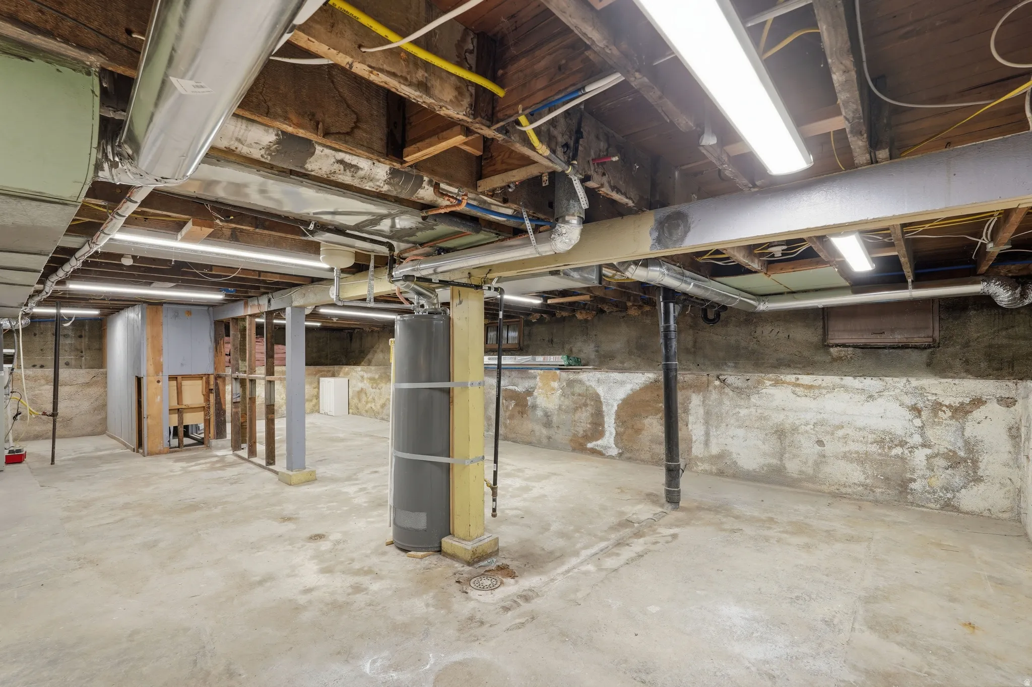 Unfinished below grade area with water heater