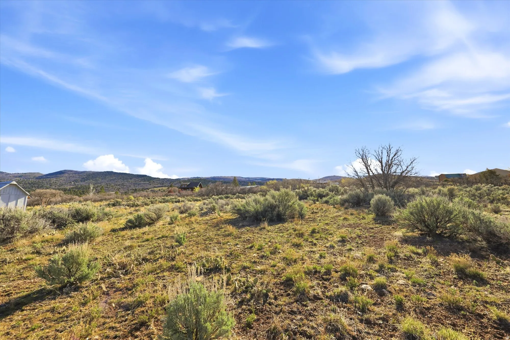 Expansive open land with natural shrubbery and varied terrain