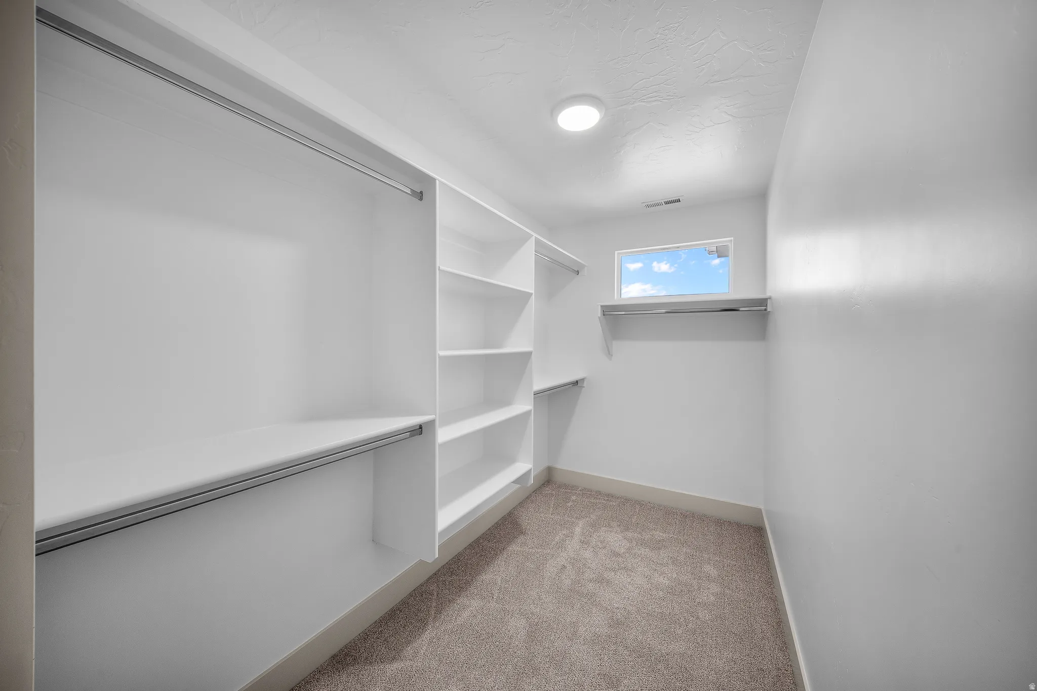 Walk in closet with light colored carpet