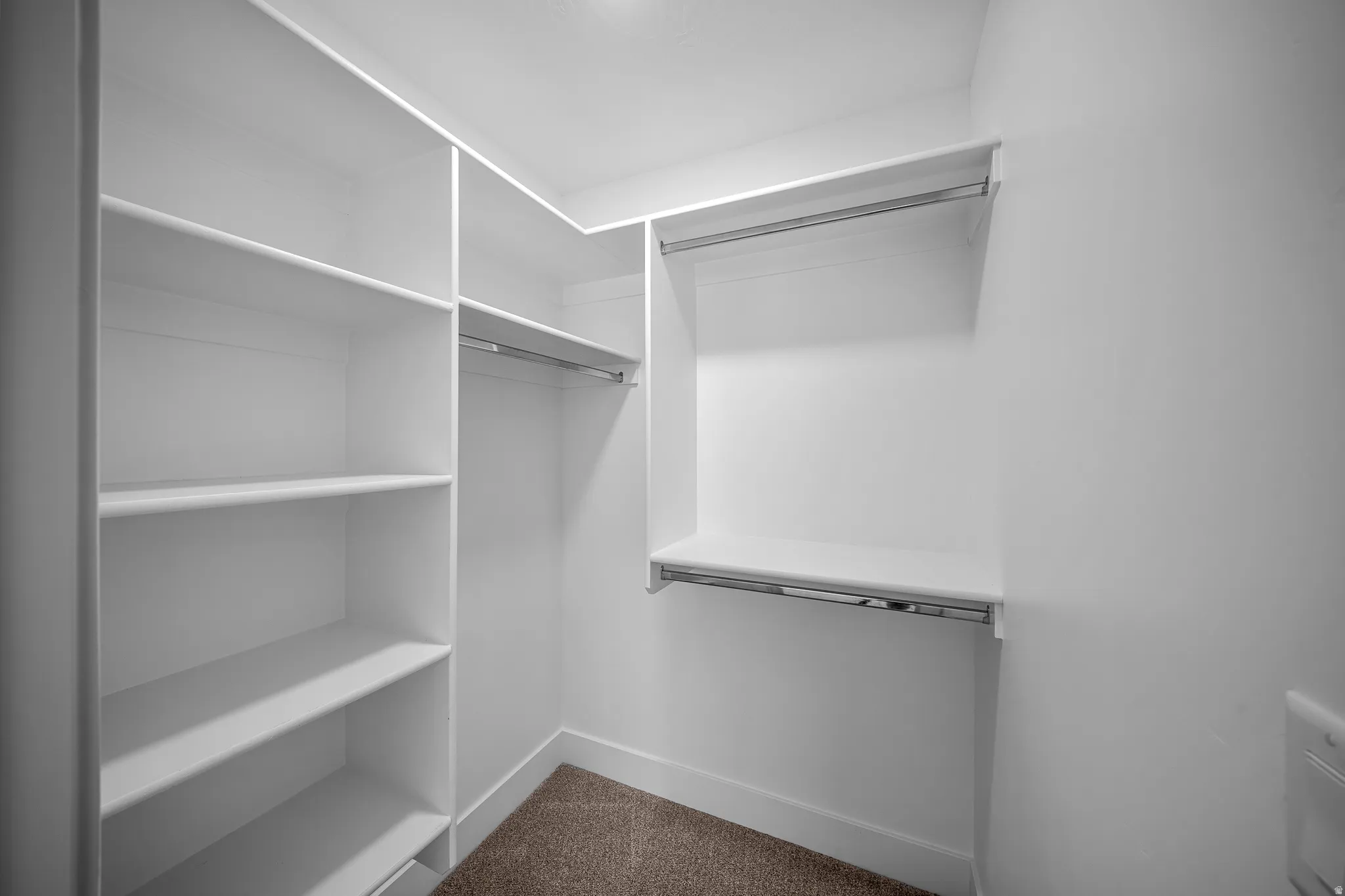 Walk in closet featuring dark colored carpet