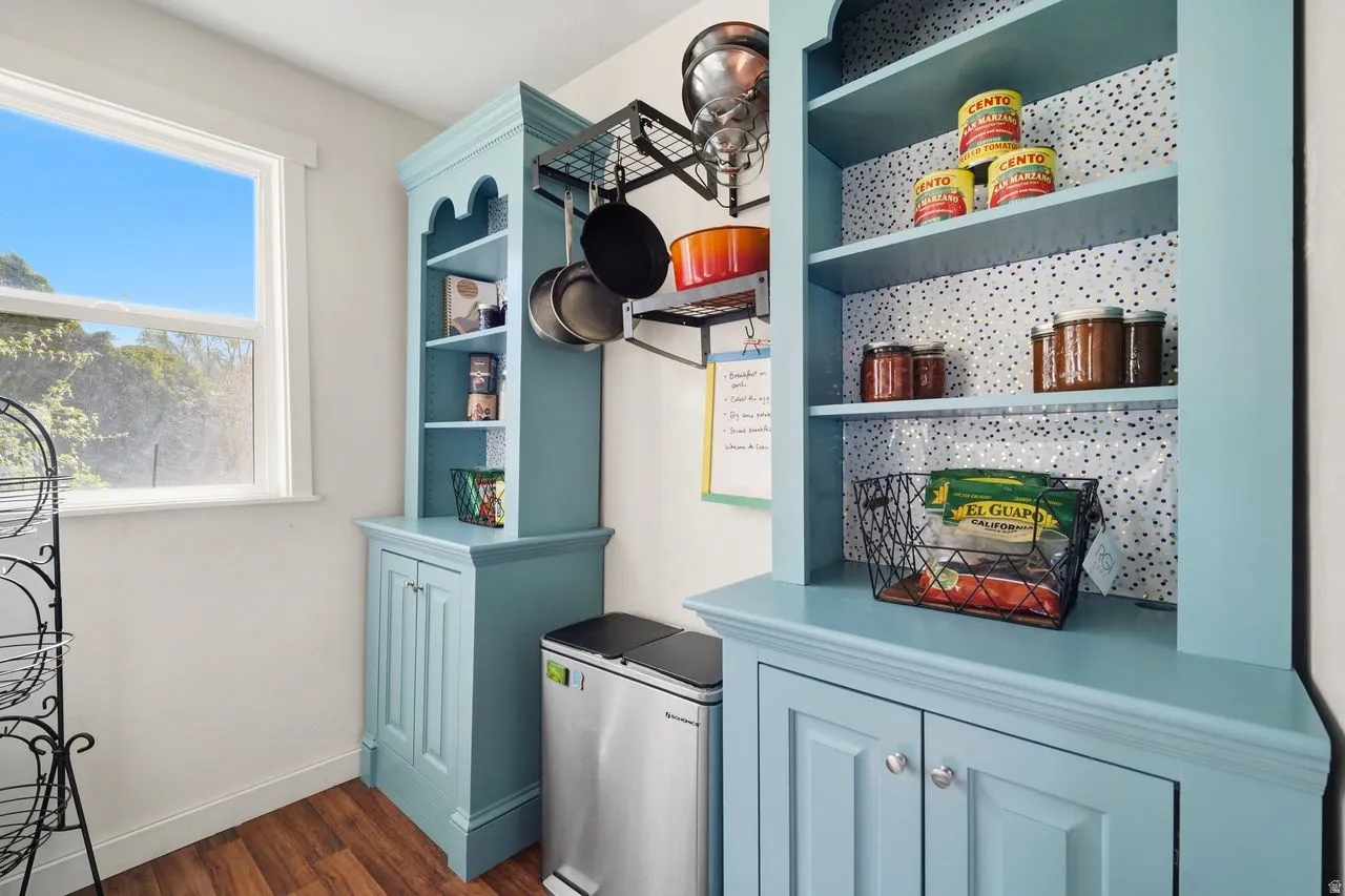 lots of extra storage shelves & cabinets in kitchen