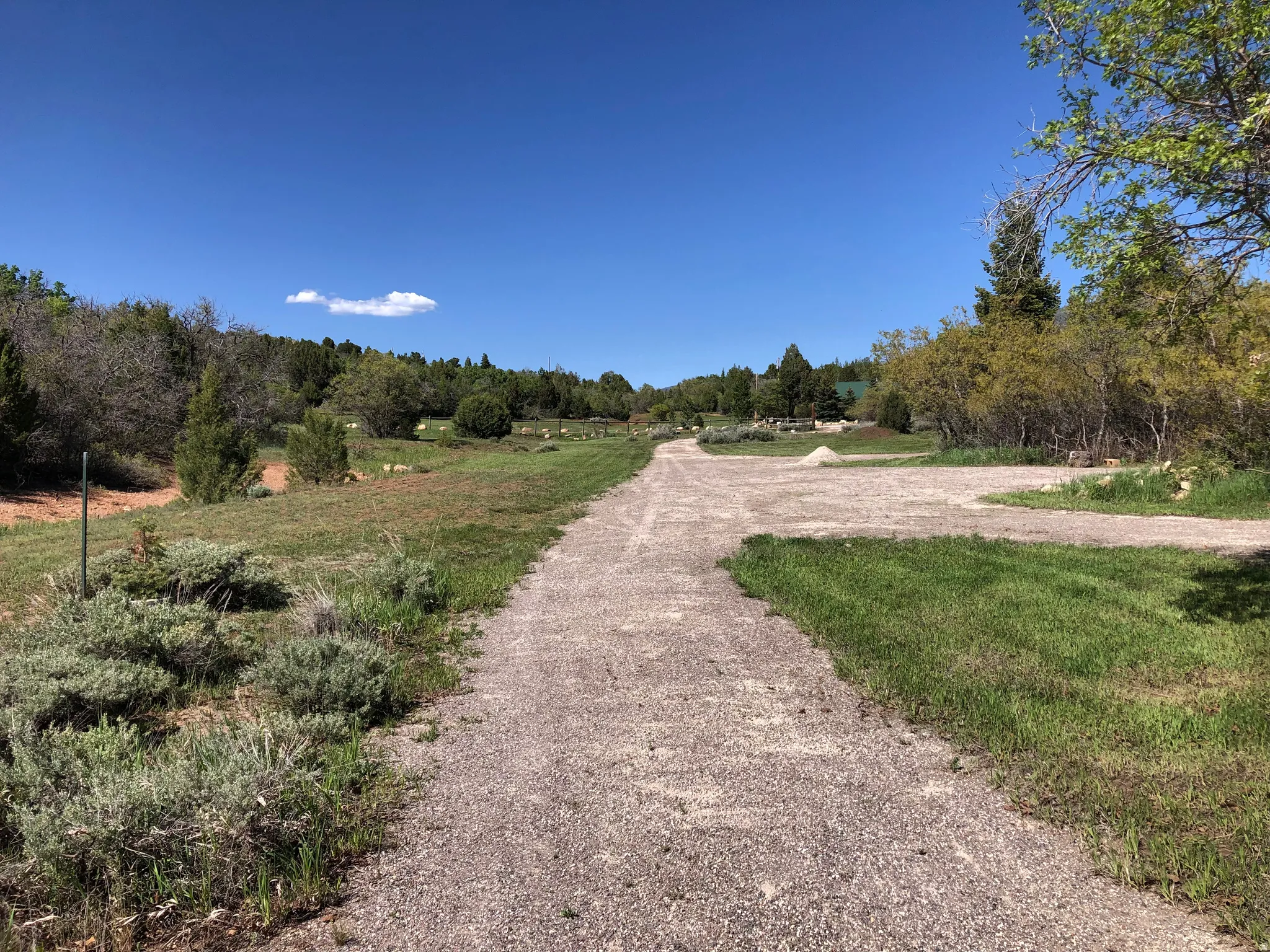 View of dirt / gravel road with a view of rural / pastoral area