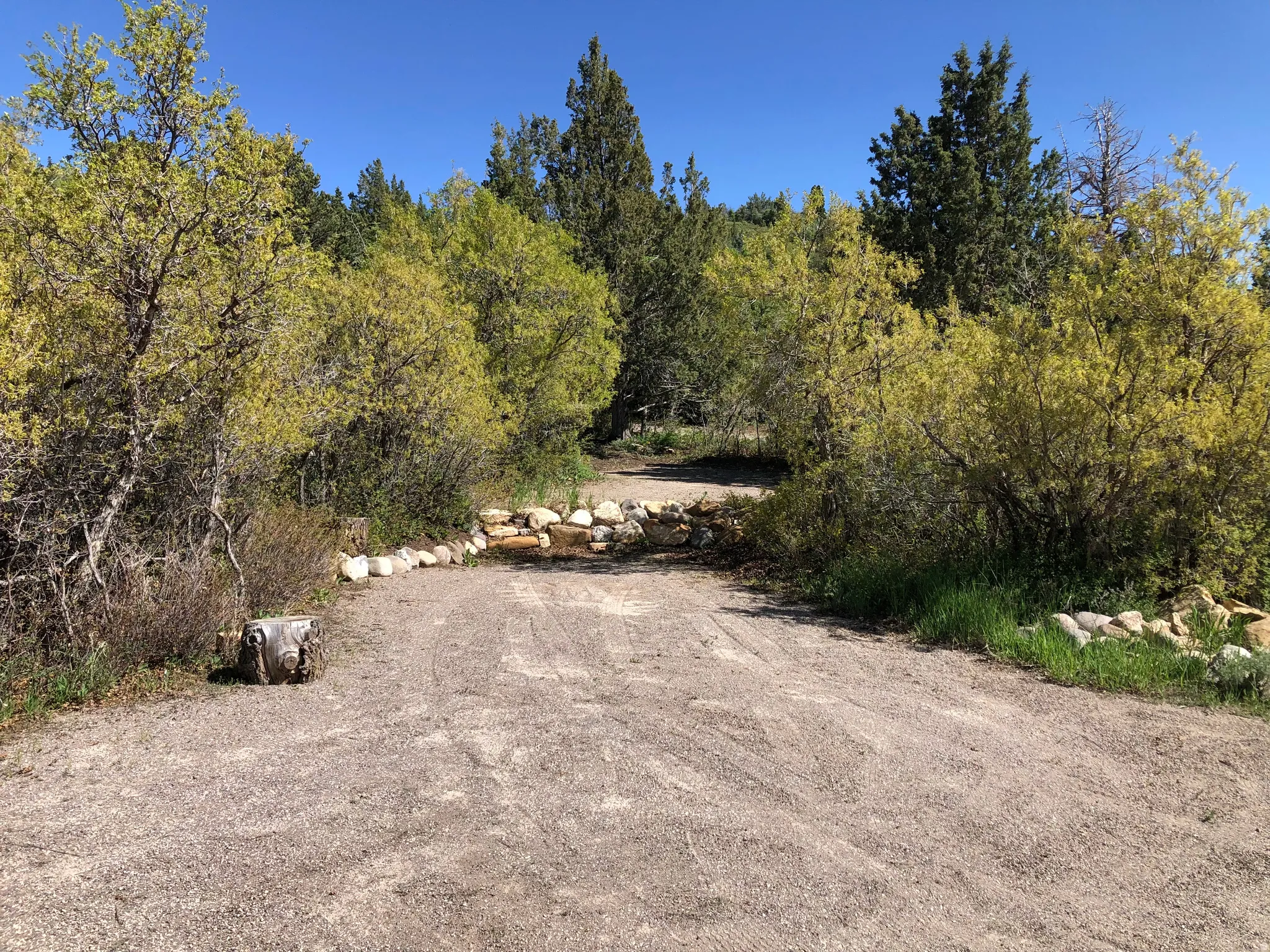 View of dirt / gravel road
