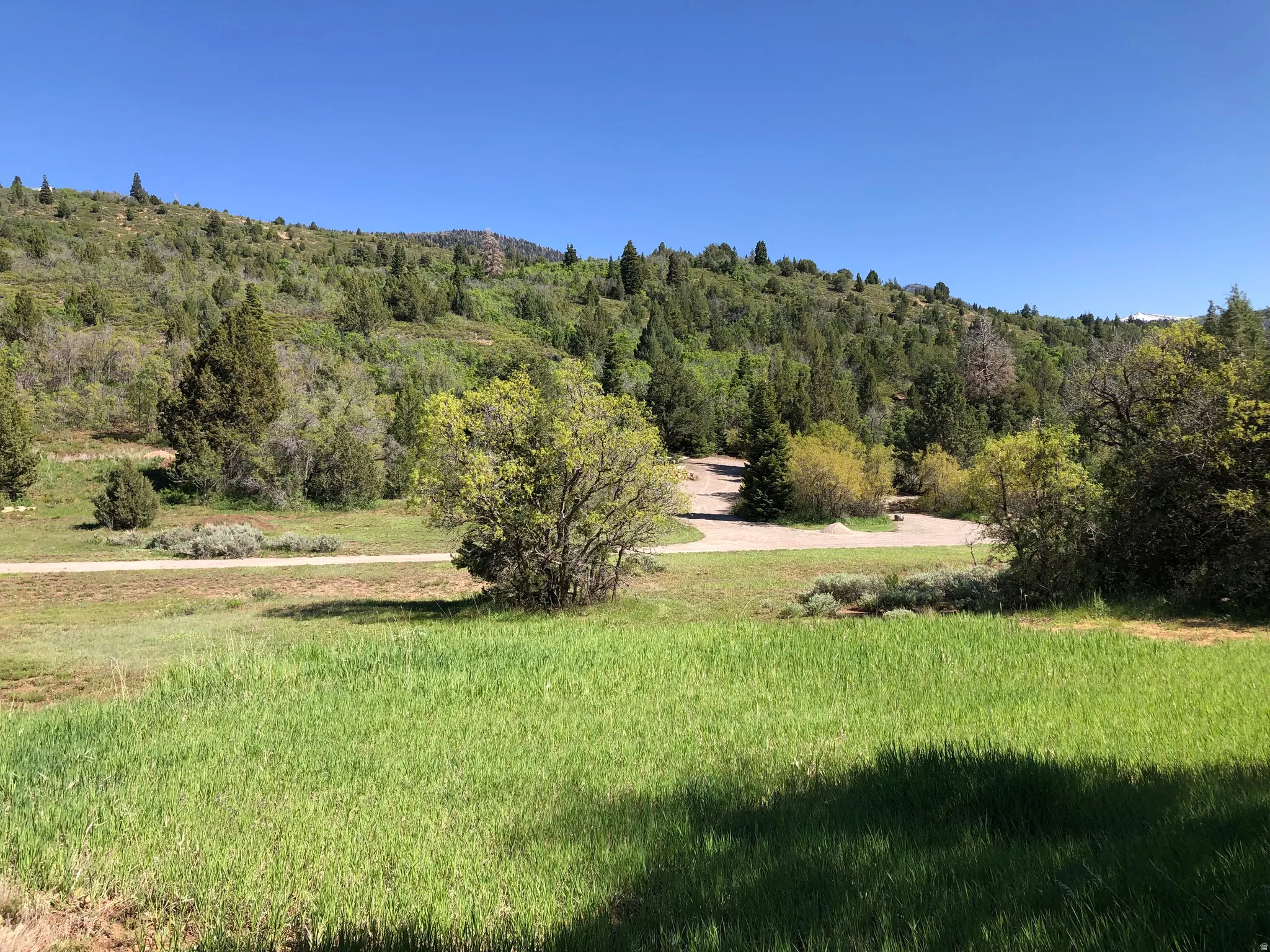 Mountain view