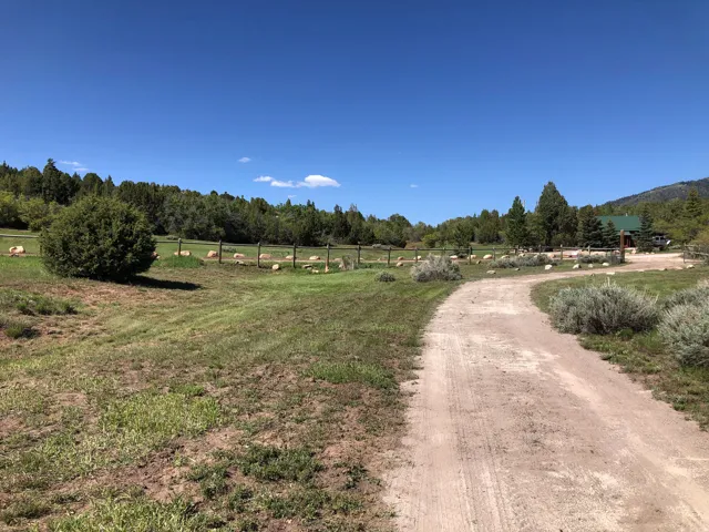 View of dirt / gravel road with a rural view