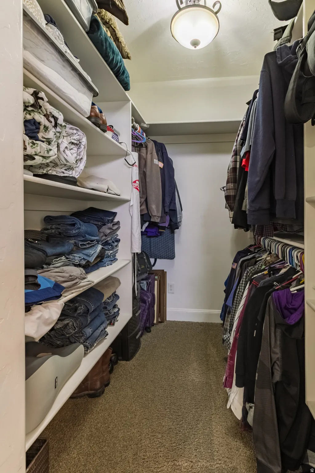 Walk in closet with carpet flooring