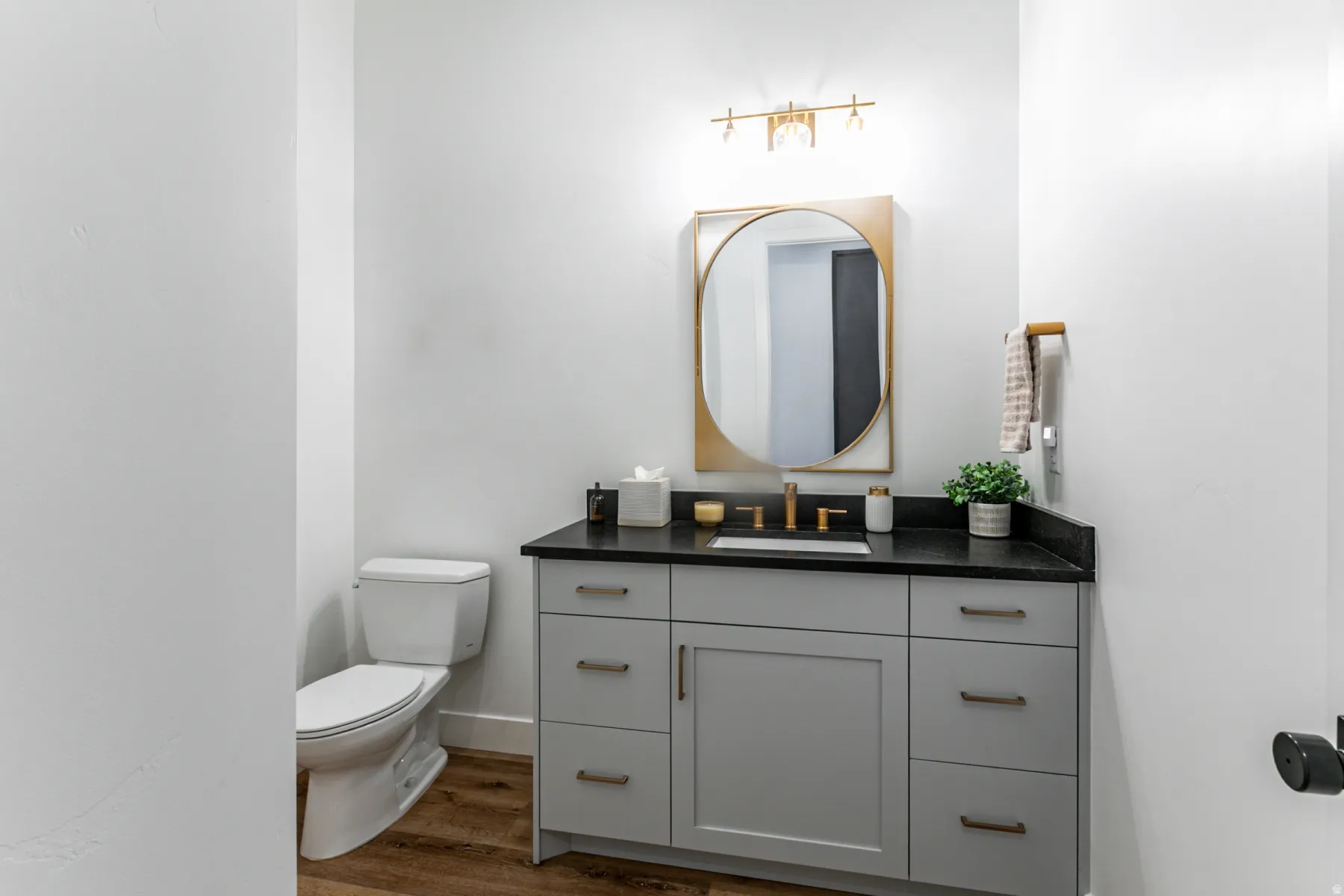 Bathroom with vanity and dark wood-style flooring
