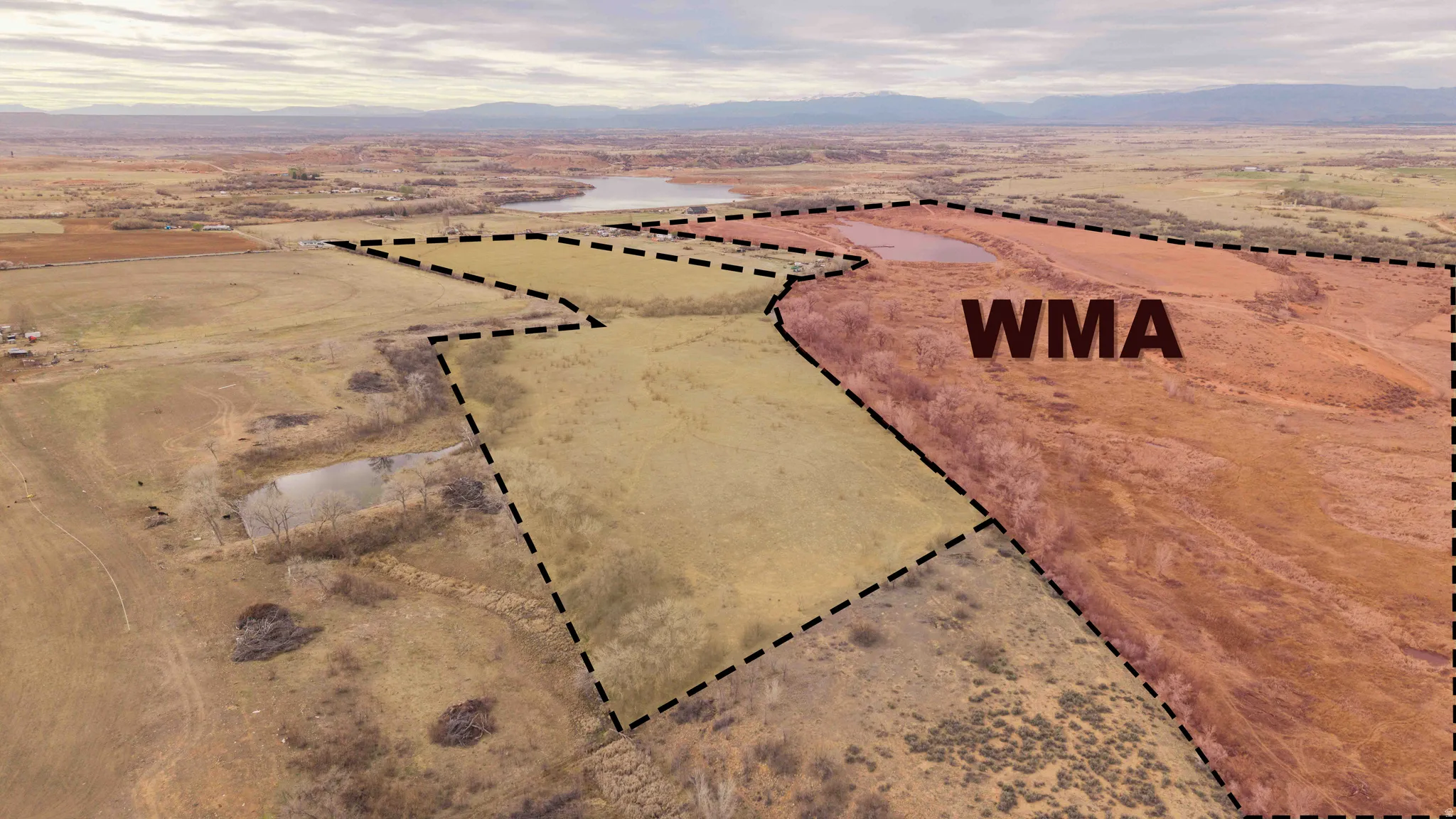 General outline of WMA in relation to property.