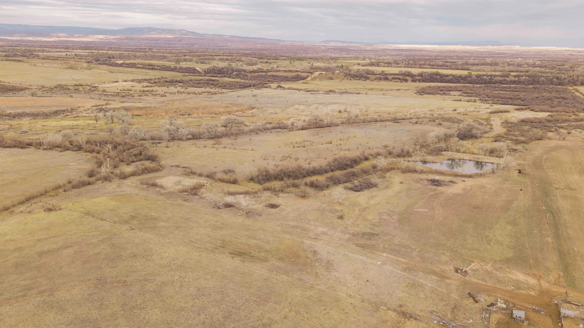 View of SE part of property.