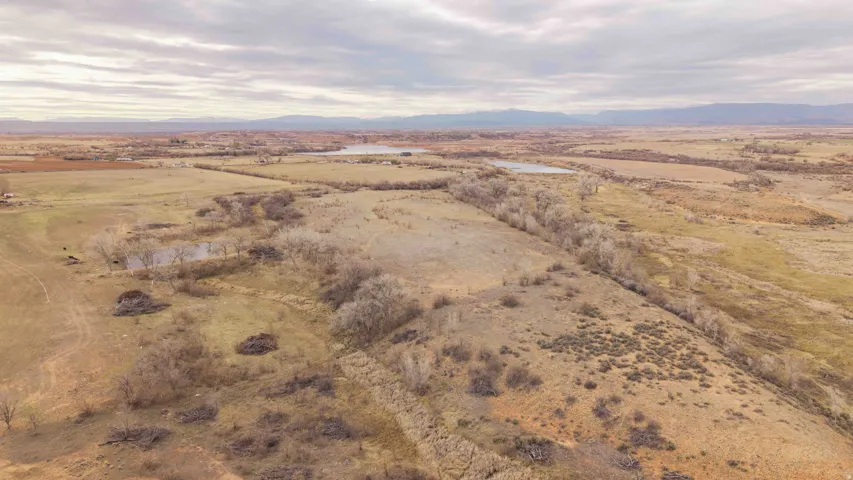 Southeast portion of property looking N N/W.