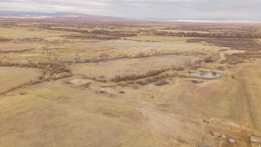 View of SE part of property.