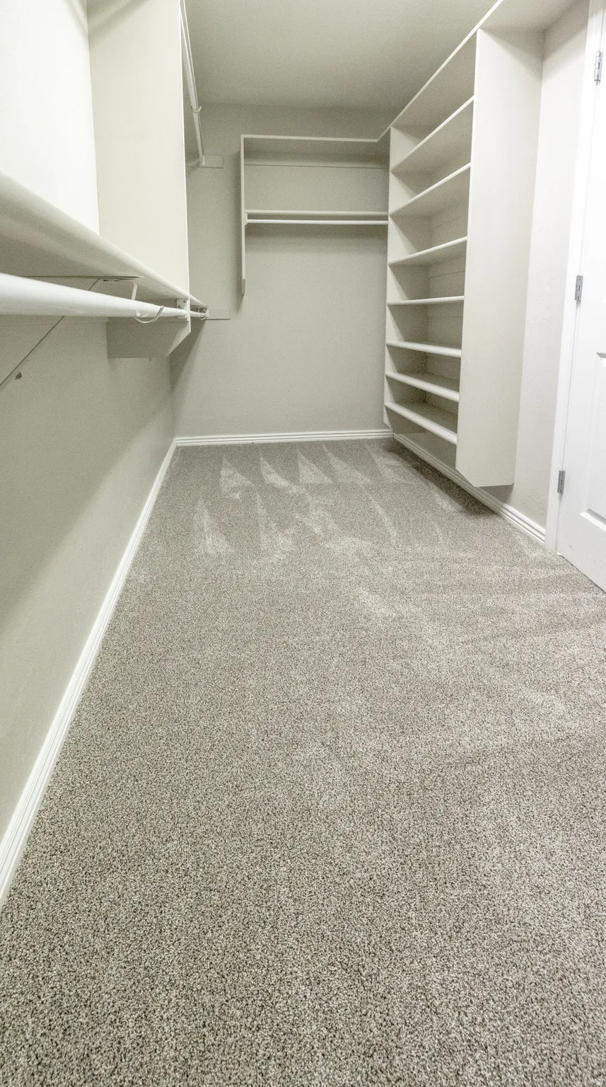 Walk in closet featuring light colored carpet
