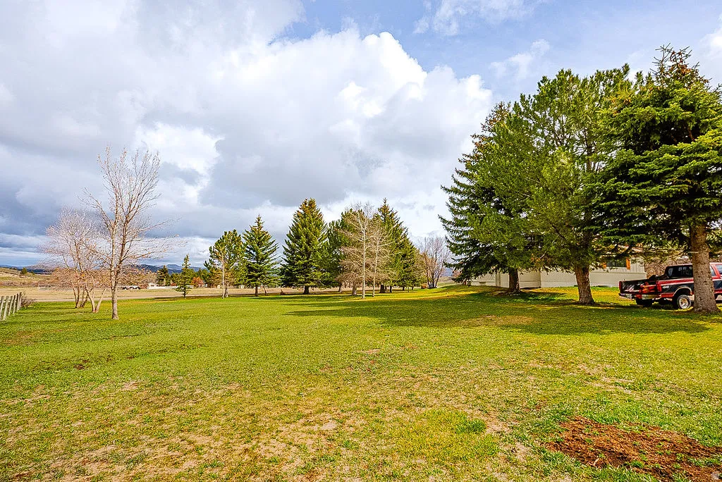 View of grassy yard