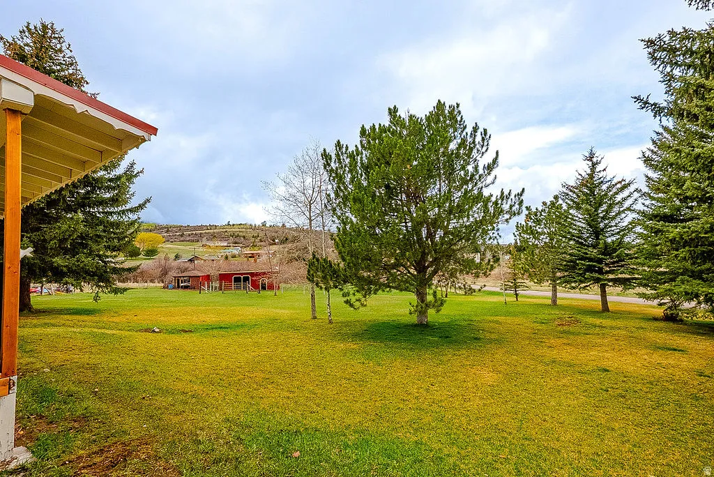 View of grassy yard