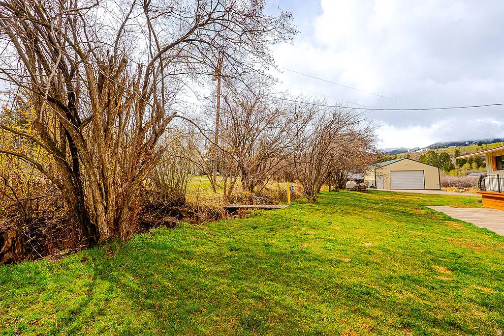 View of grassy yard with a garage, an outbuilding, and driveway