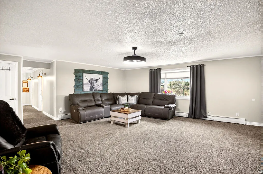 Carpeted living area with ornamental molding, a baseboard heating unit, a baseboard radiator, and a textured ceiling