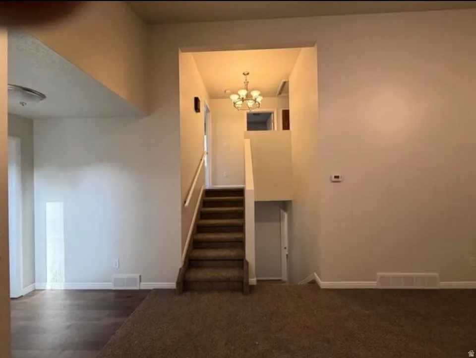 Stairs with hanging lights and carpet floors