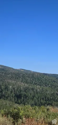 Mountain view featuring a forest