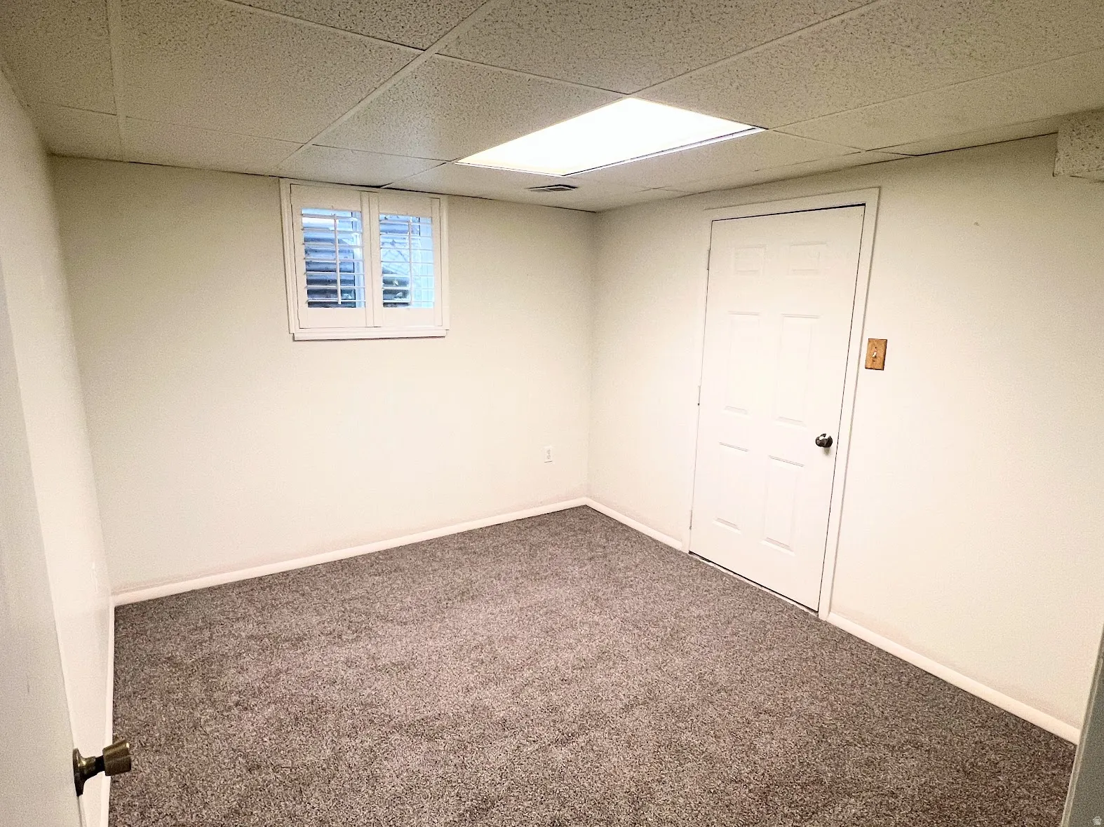 Basement with carpet and a drop ceiling