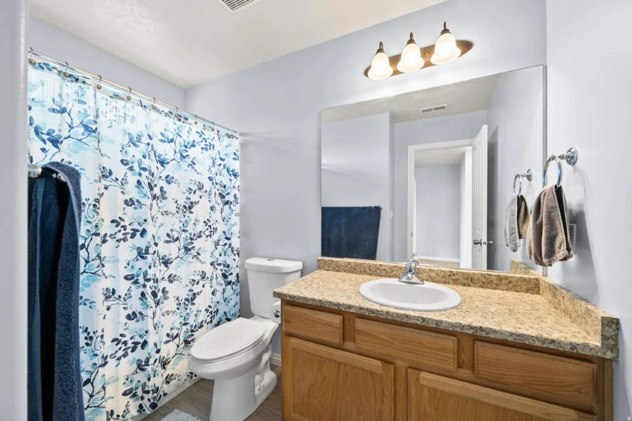 Bathroom with vanity and a shower with curtain
