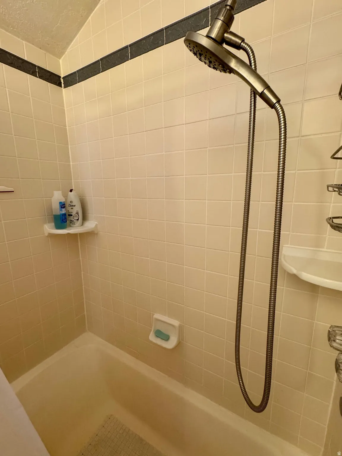 Bathroom featuring bathing tub / shower combination and vaulted ceiling