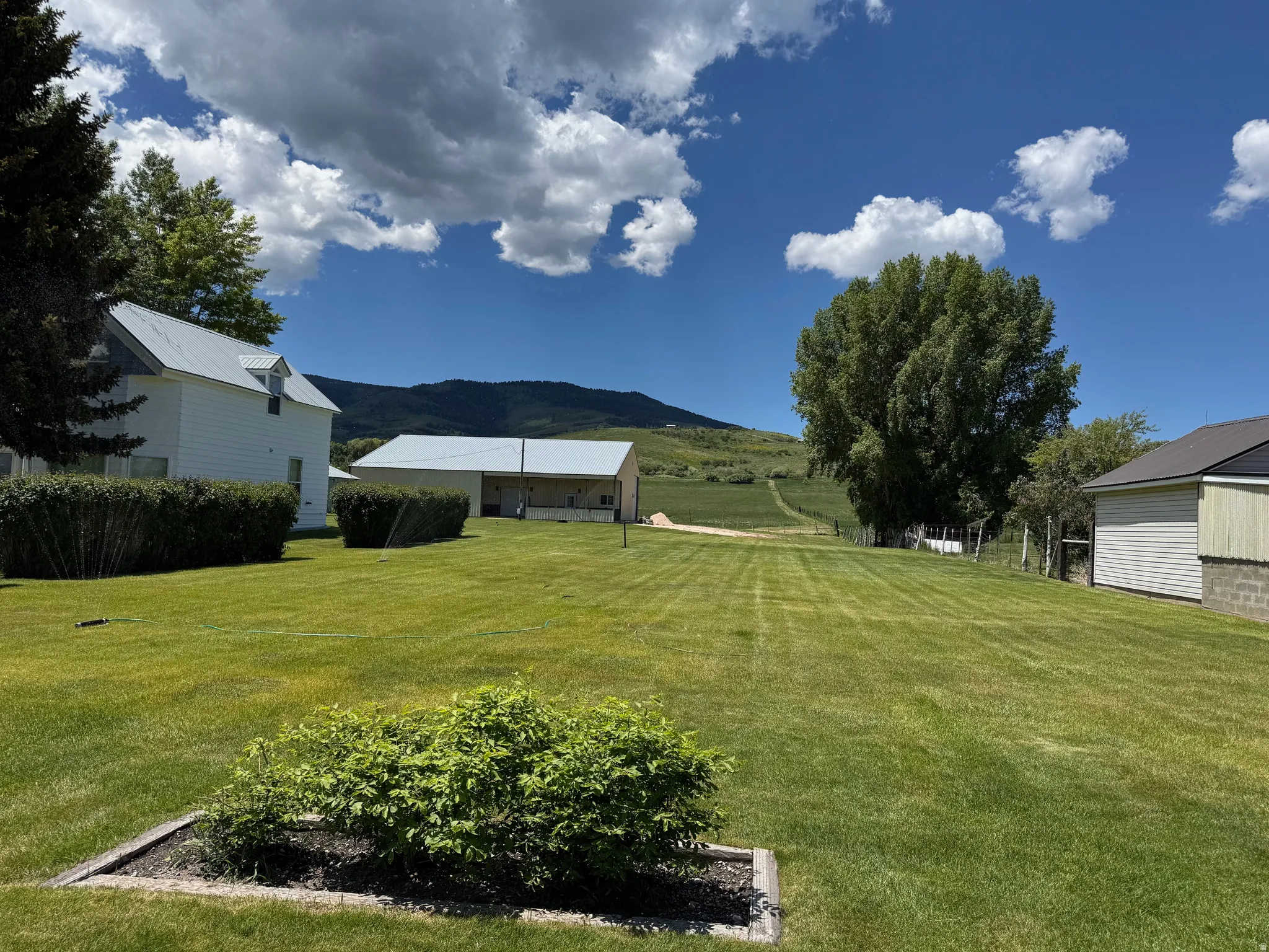 View of grassy yard with a mountain view and a rural view