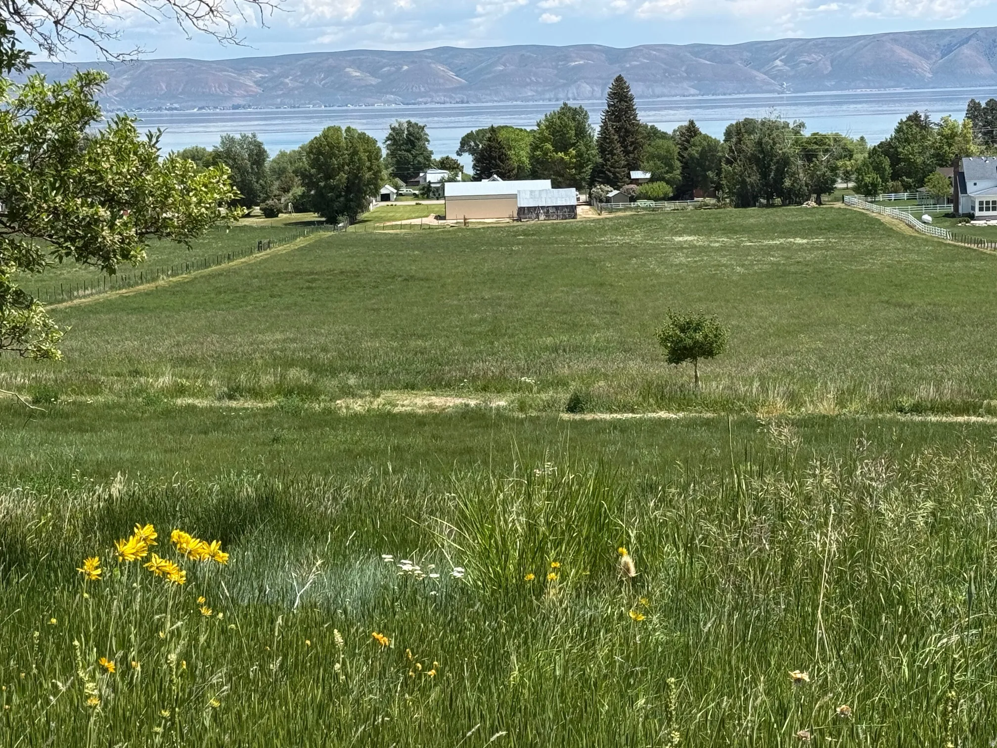 View of green lawn with a view of rural / pastoral area and a water and mountain view