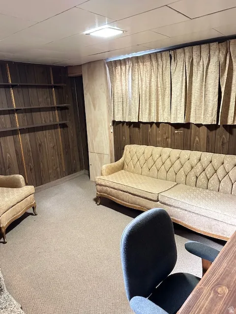 Carpeted living room featuring wooden walls