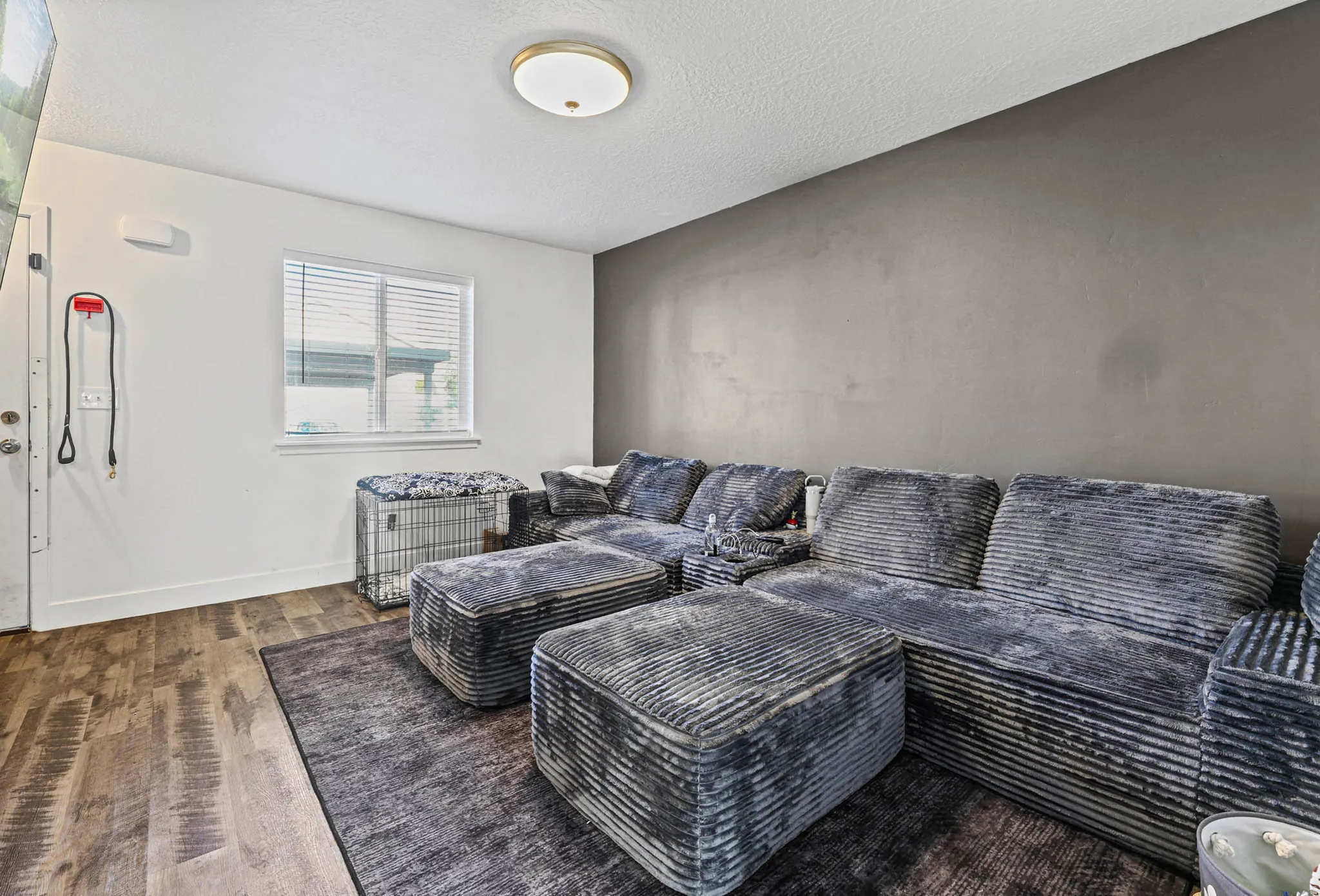 Living room featuring wood finished floors and a textured ceiling