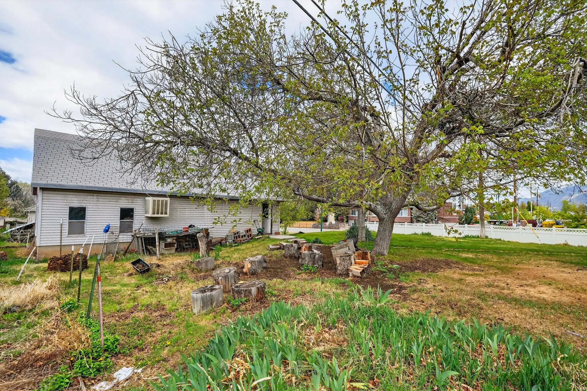 Rear view of house featuring a patio and roof with shingles