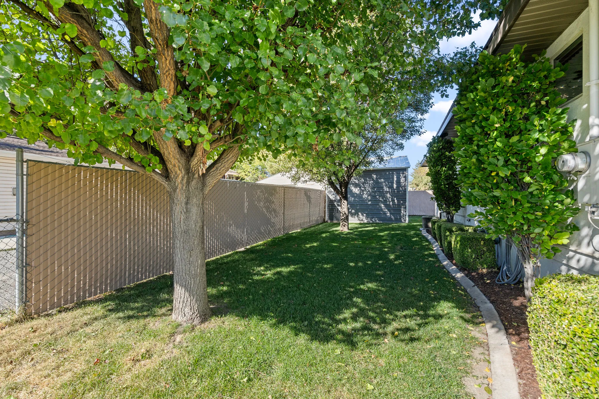View of fenced backyard