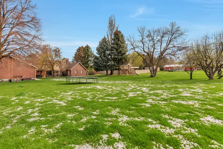 View of grassy yard with a trampoline
