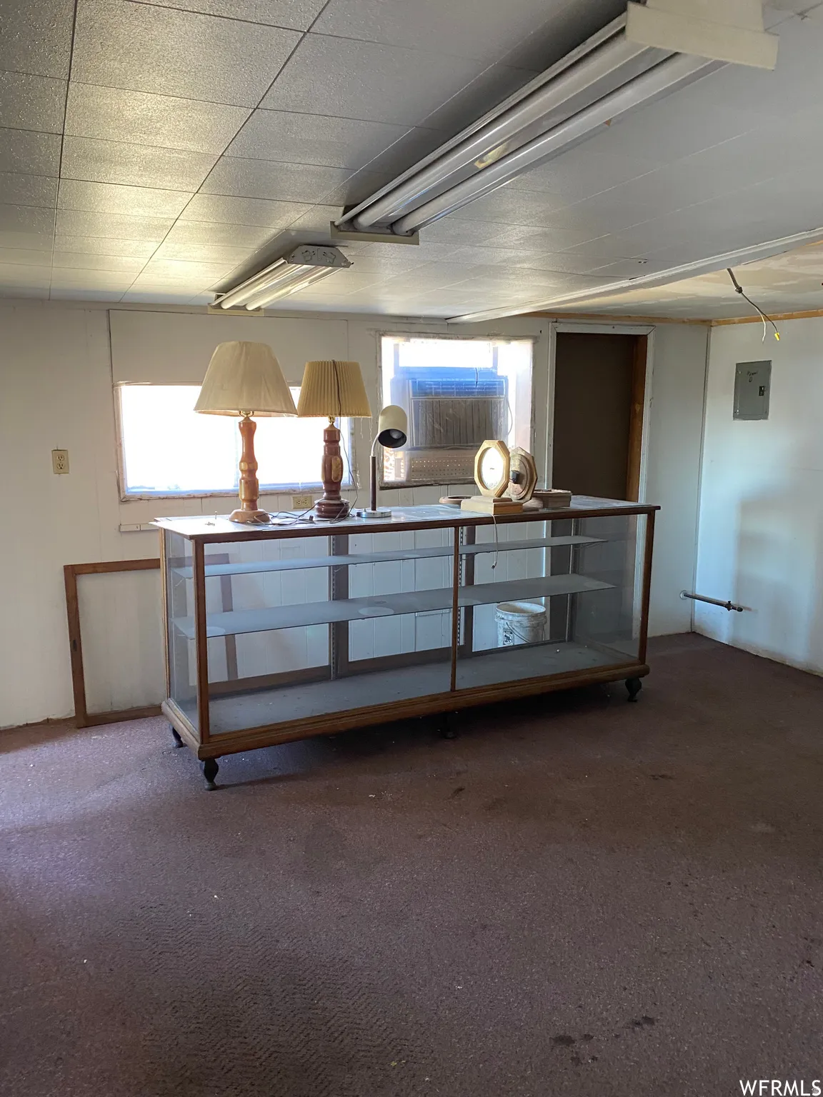 Basement featuring carpet flooring, healthy amount of natural light, and electric panel