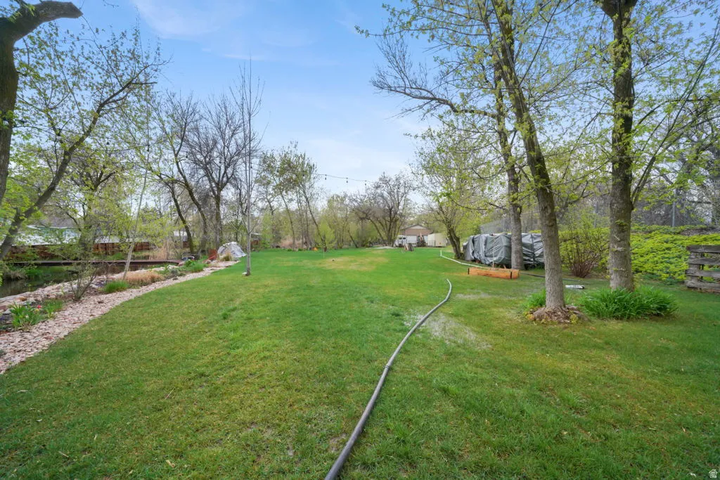 Neighbors back yard and park just over your fence, to enjoy as your view