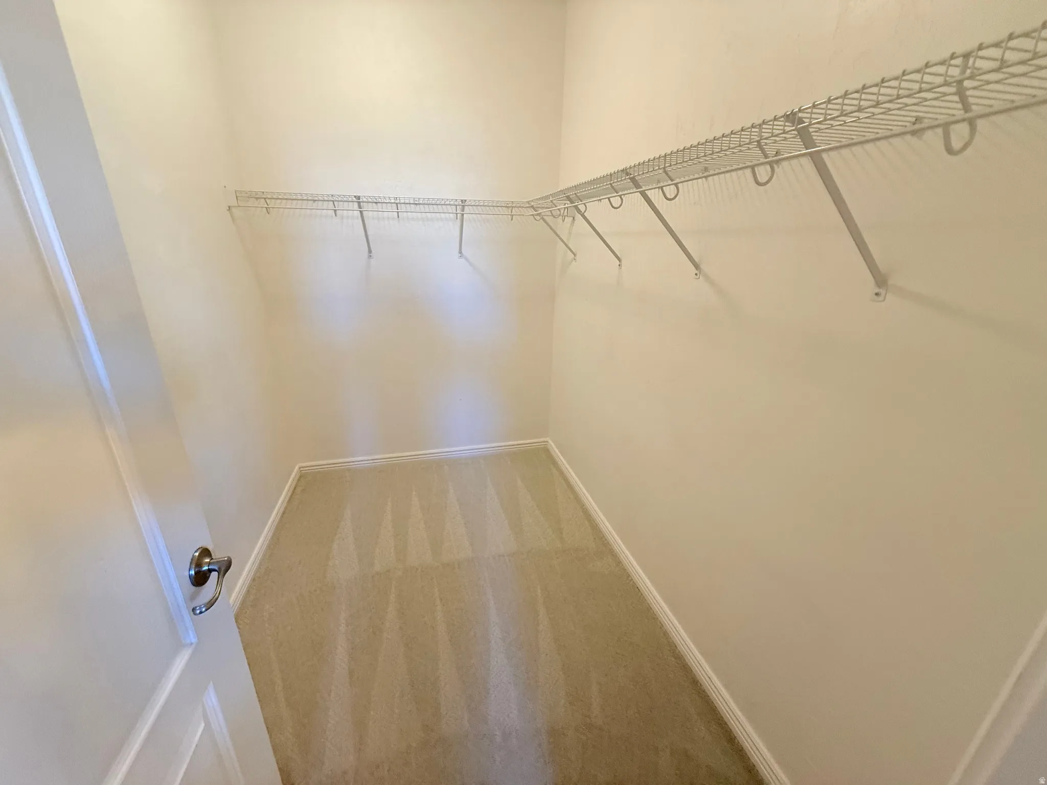 Walk in closet with carpet
