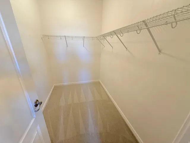 Walk in closet with carpet