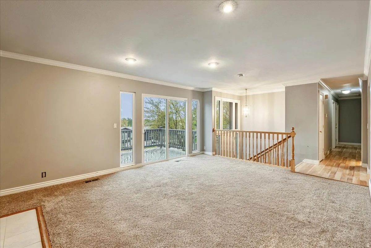 Unfurnished room with light carpet and ornamental molding