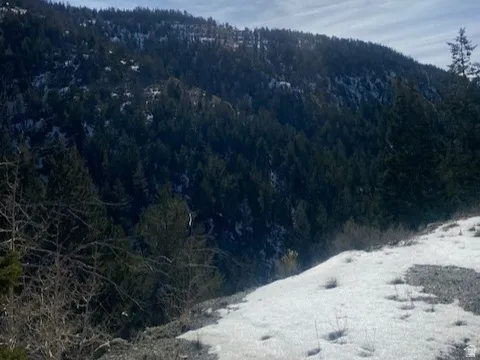 Mountain view featuring a heavily wooded area