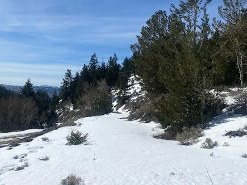 View of snowy yard