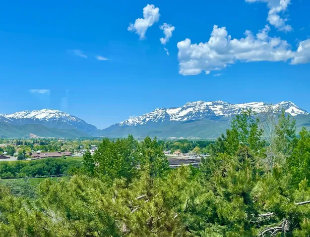 View from main level deck