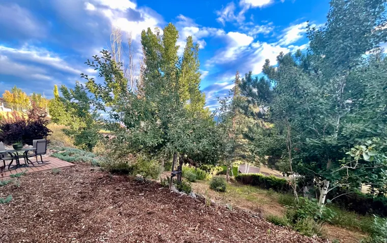 Rear yard