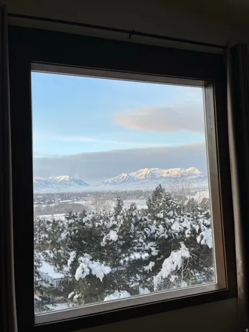 View from main level picture window