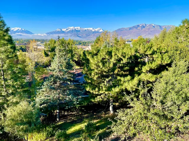 View from main level deck
