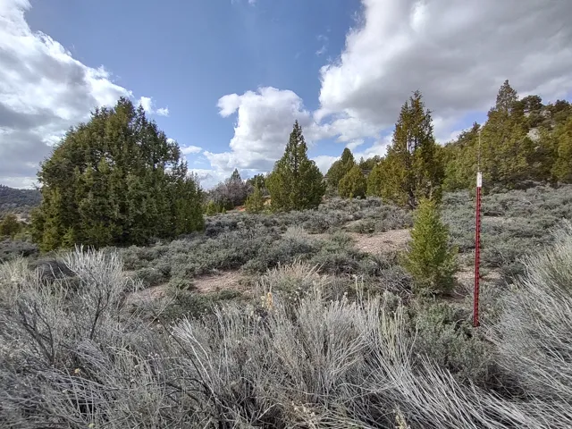 View of undeveloped land