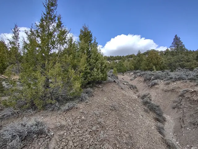View of nature