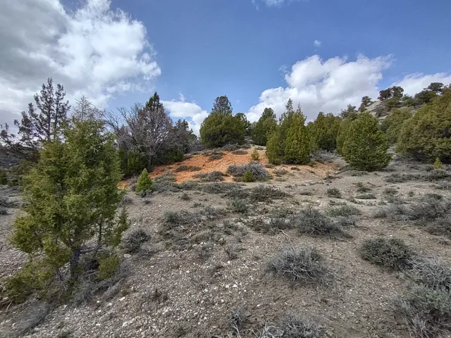 View of undeveloped land