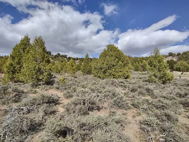 View of undeveloped land