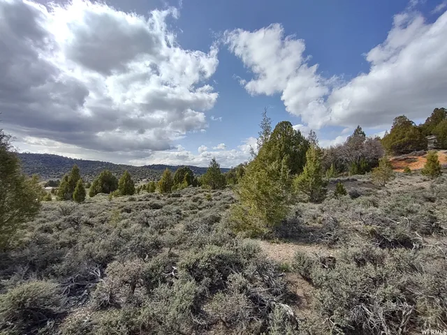 View of nature