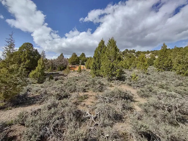 View of undeveloped land